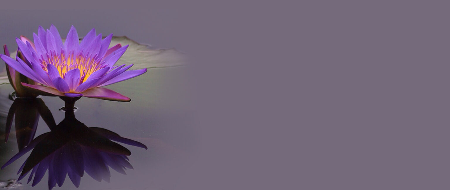 Website banner van Lotus Hypnotherapie